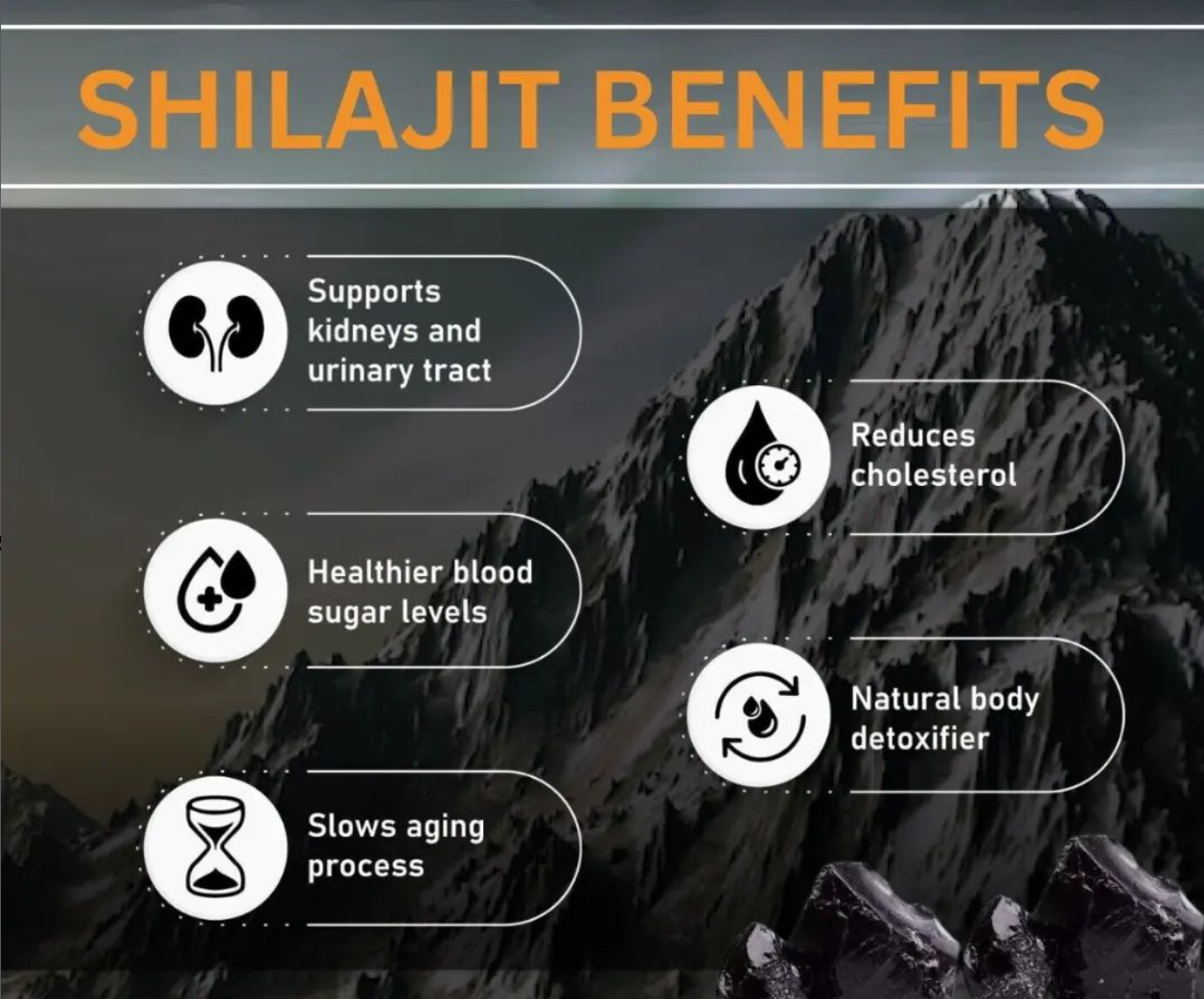 Sunbear Himalayan Shilajit Resin 20g