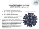 ZeoOne Zeolite 100g Powder