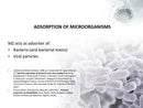ZeoOne Zeolite 100g Powder