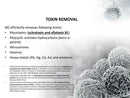 ZeoZone Activated Liquid Zeolite 60ml