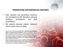 ZeoZone Activated Liquid Zeolite 60ml